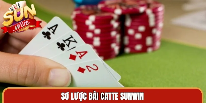 Sơ lược bài Catte Sunwin