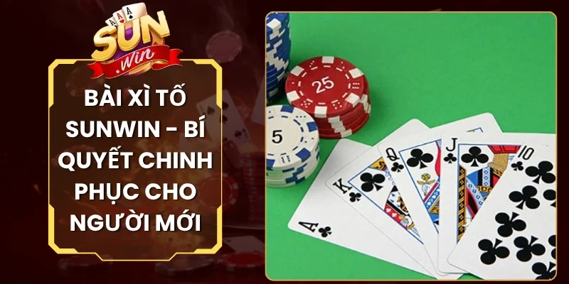 Bài Xì Tố Sunwin - Bí Quyết Chinh Phục Cho Người Mới