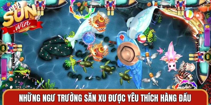 Những ngư trường săn xu được yêu thích hàng đầu